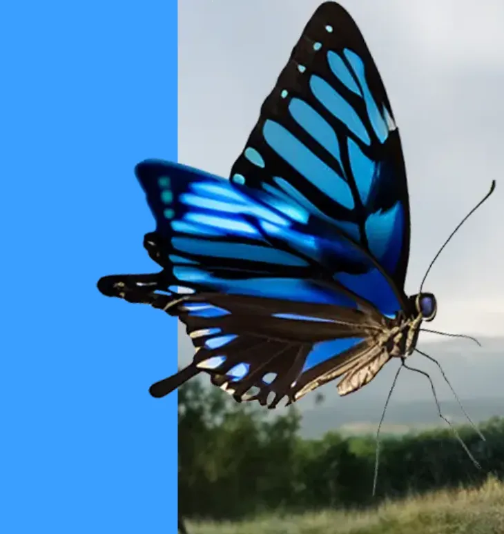 Adobe Creative Cloud Student Plan Limited $15.99